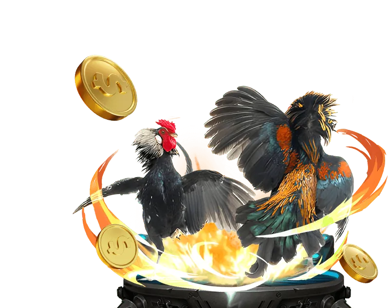 Lịch sử và uy tín của 9vip