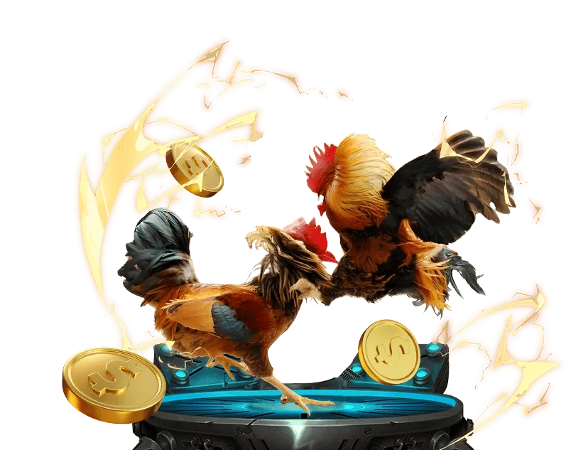 Tổng quan các loại hình đá gà trực tuyến tại 9vip